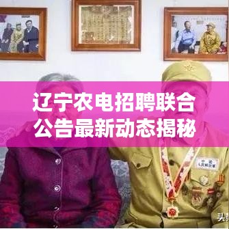 辽宁农电招聘联合公告最新动态揭秘，职位、要求、流程一网打尽
