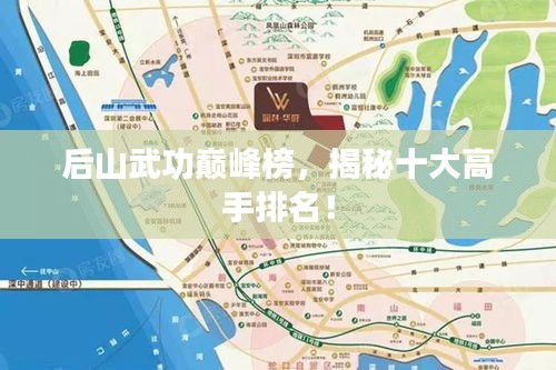 后山武功巅峰榜，揭秘十大高手排名！