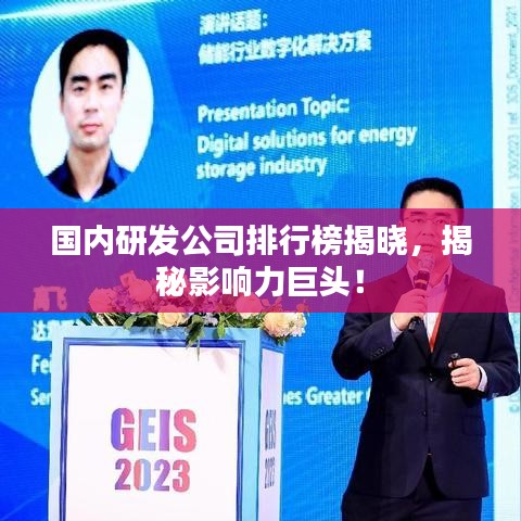 国内研发公司排行榜揭晓，揭秘影响力巨头！