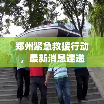郑州紧急救援行动，最新消息速递
