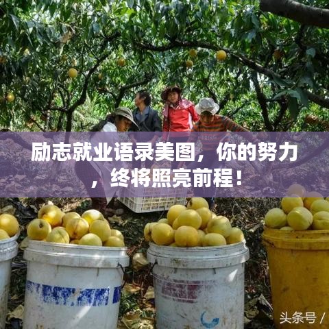 励志就业语录美图，你的努力，终将照亮前程！