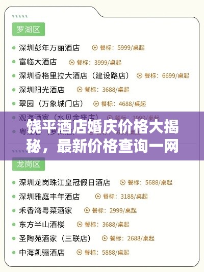 饶平酒店婚庆价格大揭秘，最新价格查询一网打尽！