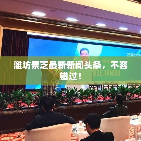 潍坊景芝最新新闻头条，不容错过！