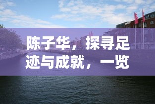 陈子华，探寻足迹与成就，一览无遗