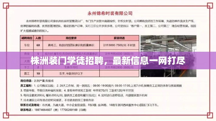 株洲装门学徒招聘，最新信息一网打尽