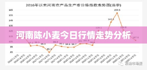 河南陈小麦今日行情走势分析