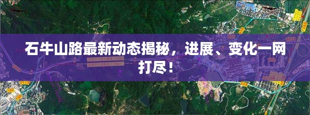 石牛山路最新动态揭秘，进展、变化一网打尽！