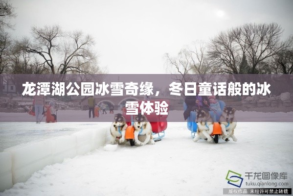 龙潭湖公园冰雪奇缘，冬日童话般的冰雪体验