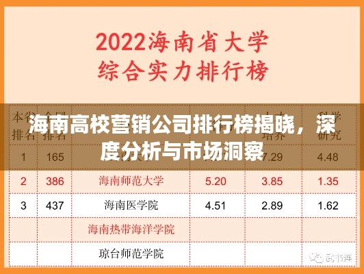 海南高校营销公司排行榜揭晓，深度分析与市场洞察