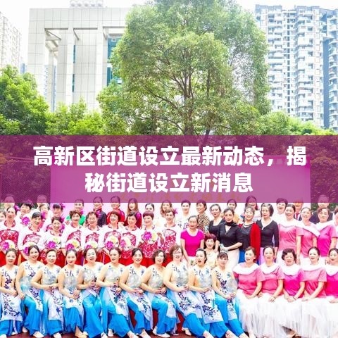 高新区街道设立最新动态，揭秘街道设立新消息