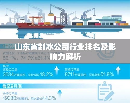 山东省制冰公司行业排名及影响力解析