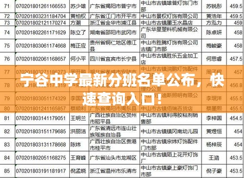 宁谷中学最新分班名单公布，快速查询入口！