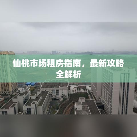 仙桃市场租房指南，最新攻略全解析