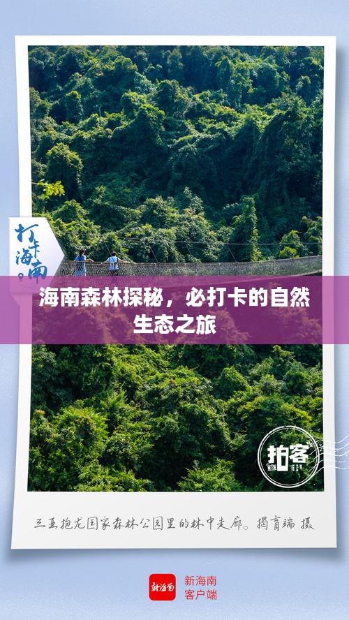 海南森林探秘，必打卡的自然生态之旅