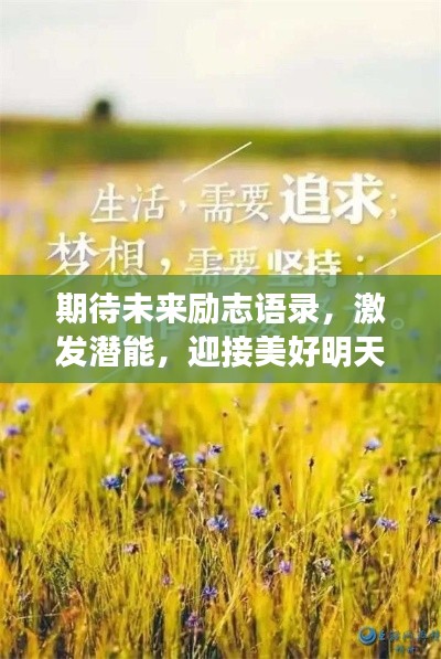 期待未来励志语录，激发潜能，迎接美好明天！