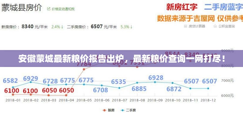 安徽蒙城最新粮价报告出炉，最新粮价查询一网打尽！