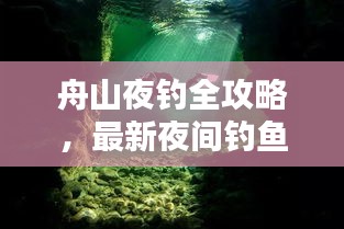 舟山夜钓全攻略，最新夜间钓鱼技巧与地点推荐