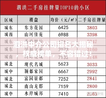 泗洪中介公司排名大揭秘，权威榜单，不容错过！