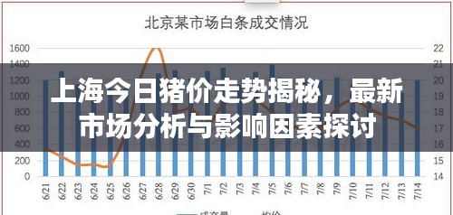 上海今日猪价走势揭秘，最新市场分析与影响因素探讨