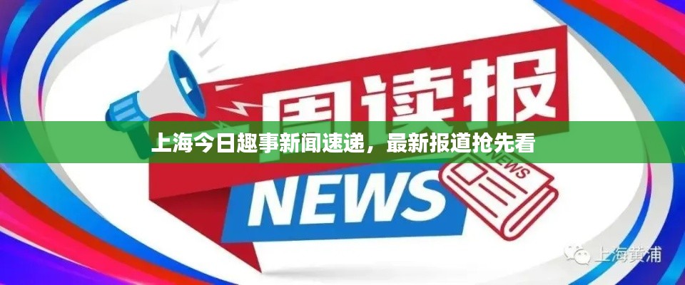 上海今日趣事新闻速递，最新报道抢先看