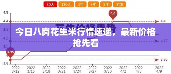 今日八岗花生米行情速递，最新价格抢先看