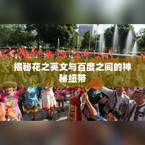 揭秘花之英文与百度之间的神秘纽带