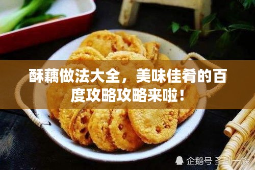 酥藕做法大全，美味佳肴的百度攻略攻略来啦！