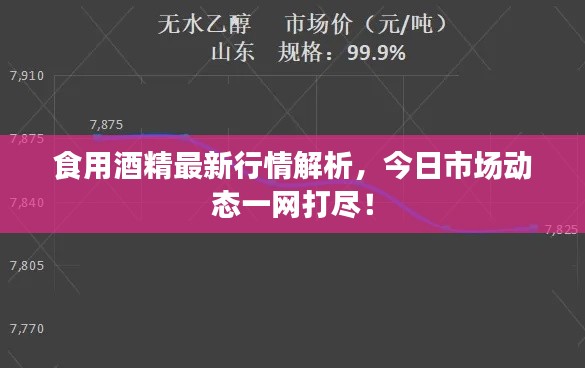 食用酒精最新行情解析，今日市场动态一网打尽！