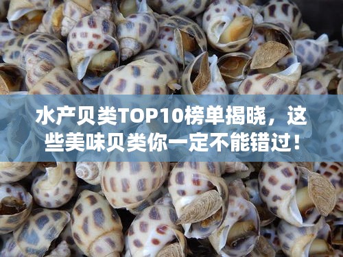 水产贝类TOP10榜单揭晓，这些美味贝类你一定不能错过！