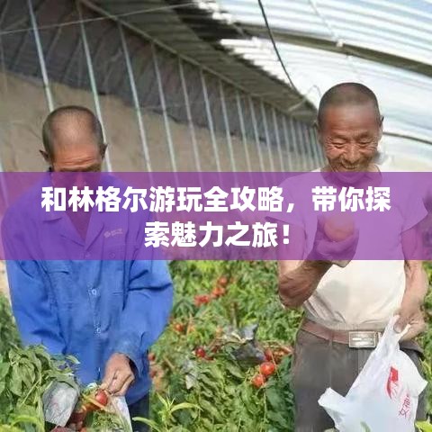 和林格尔游玩全攻略，带你探索魅力之旅！