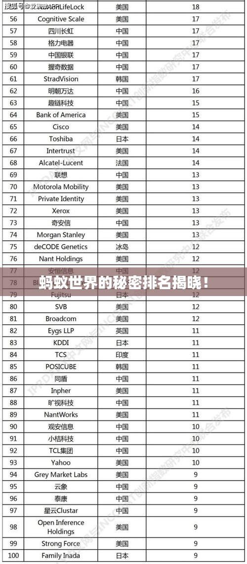 蚂蚁世界的秘密排名揭晓！