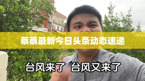 蔡蔡最新今日头条动态速递