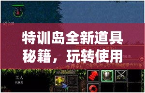 特训岛全新道具秘籍，玩转使用技巧，轻松掌握最新攻略