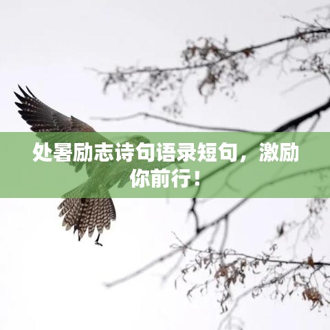 处暑励志诗句语录短句，激励你前行！