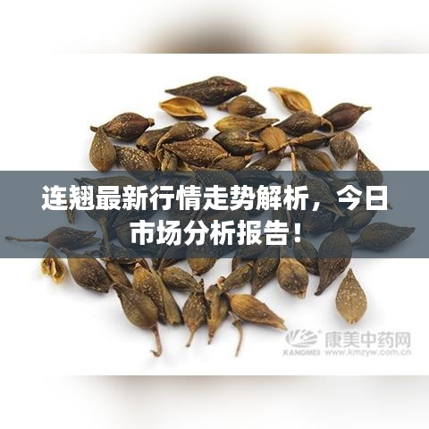 连翘最新行情走势解析，今日市场分析报告！