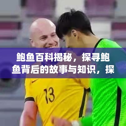 鲍鱼百科揭秘，探寻鲍鱼背后的故事与知识，探索数字背后的奥秘