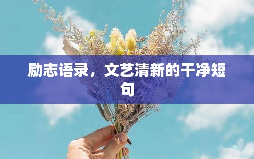 励志语录，文艺清新的干净短句