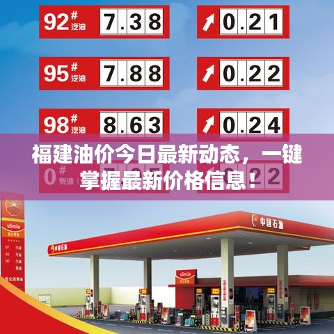福建油价今日最新动态，一键掌握最新价格信息！