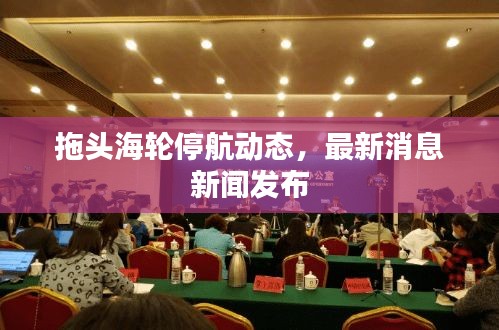 拖头海轮停航动态，最新消息新闻发布