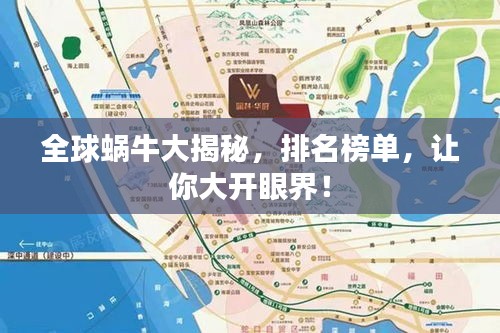 全球蜗牛大揭秘，排名榜单，让你大开眼界！