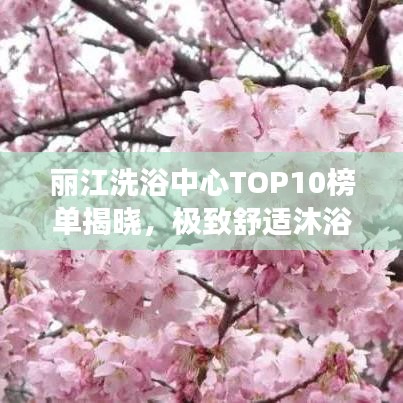 丽江洗浴中心TOP10榜单揭晓，极致舒适沐浴之旅全攻略