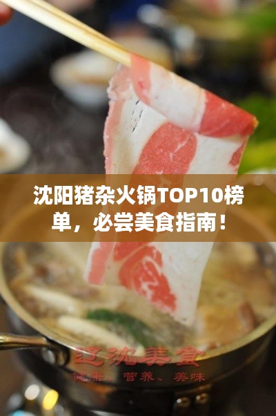 沈阳猪杂火锅TOP10榜单，必尝美食指南！