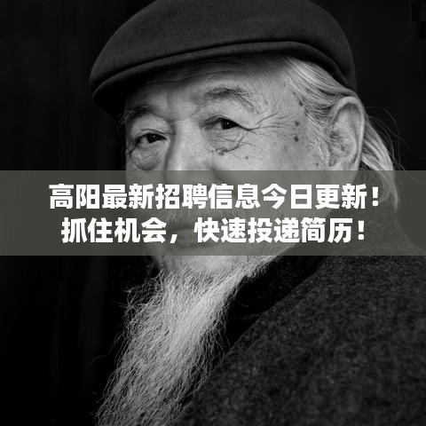 高阳最新招聘信息今日更新！抓住机会，快速投递简历！