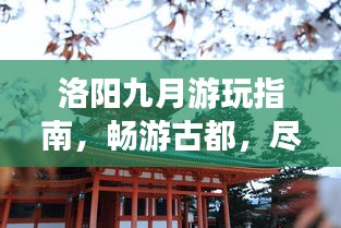 一心一意