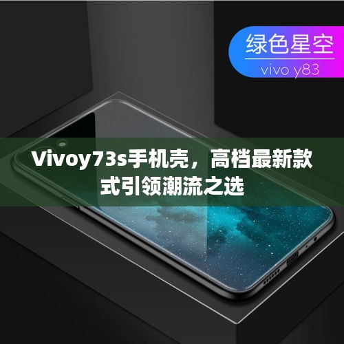 Vivoy73s手机壳，高档最新款式引领潮流之选