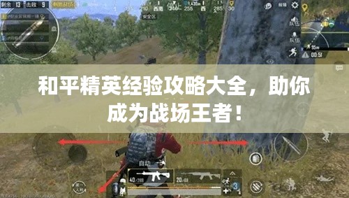 和平精英经验攻略大全，助你成为战场王者！