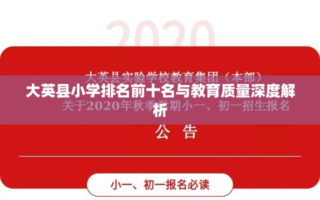 大英县小学排名前十名与教育质量深度解析