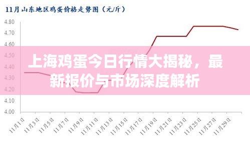 学生活动 第6页