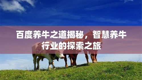 百度养牛之道揭秘，智慧养牛行业的探索之旅