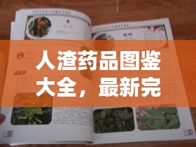 人渣药品图鉴大全，最新完整版，一网打尽！